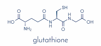 Glutathione in Boosting Immune Function